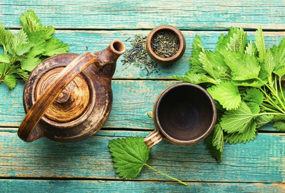 Herbal tea with nettle leaves.Herbal medicine,homeopathy.Homeopathic herbs. Herbal tea with nettle,wooden table