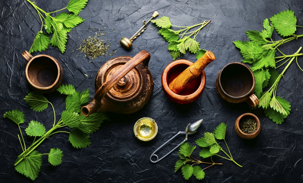 Herbal tea with nettle leaves.Healthy green tea.Herbal medicine,homeopathy. Herbal tea with nettle,herbalism