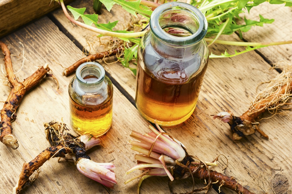 Healing herbs and herbal medicinal roots.Extract of dandelion.Taraxacum,medicinal plants.Dandelion root.. Dandelion root in herbal medicine