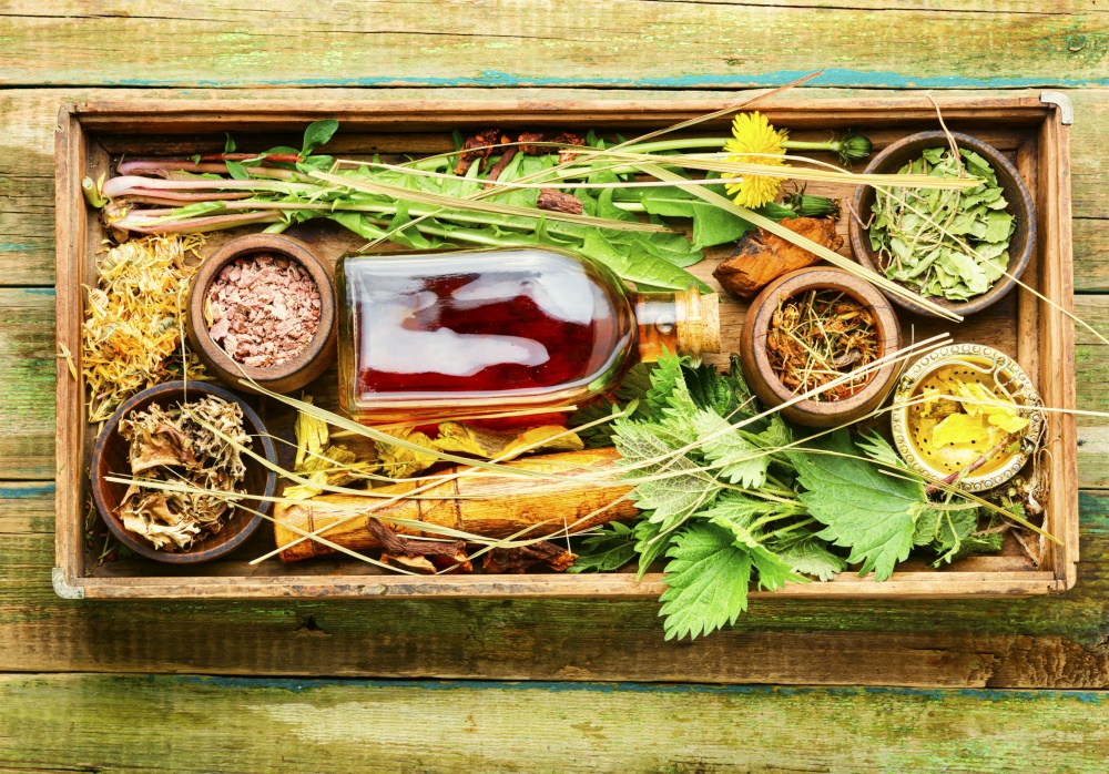 Set of fresh and dry healing herbs and medicinal plants.Healing herbs in a wooden box.Top view. Healing herbs,roots and extracts in herbal medicine