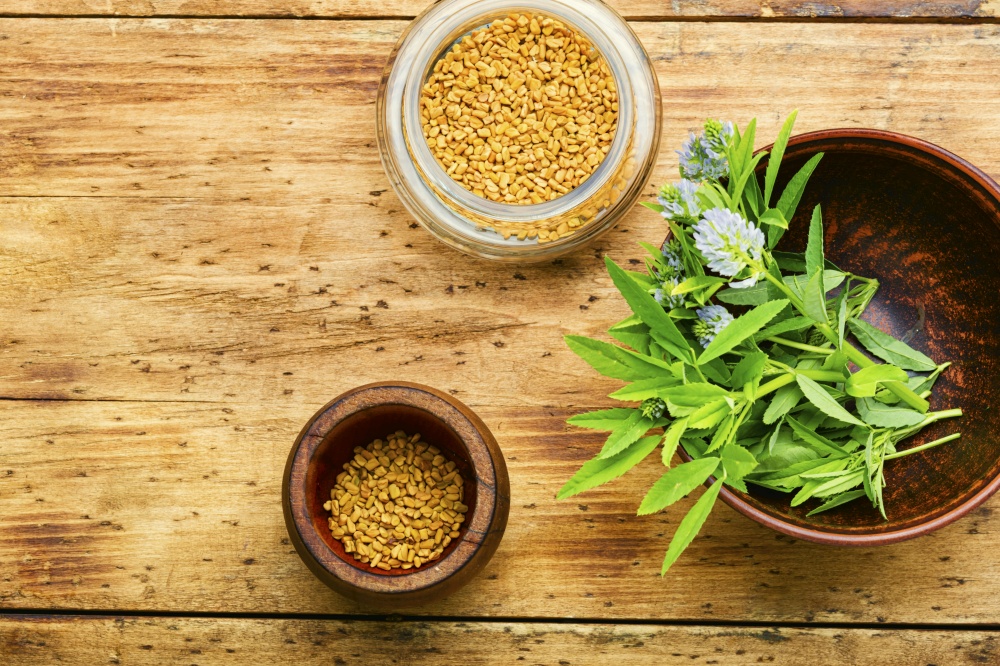 Fenugreek seeds with fresh plant.Herbal medicine.Trigonella on wooden background. Fenugreek seeds and leaves,flat lay