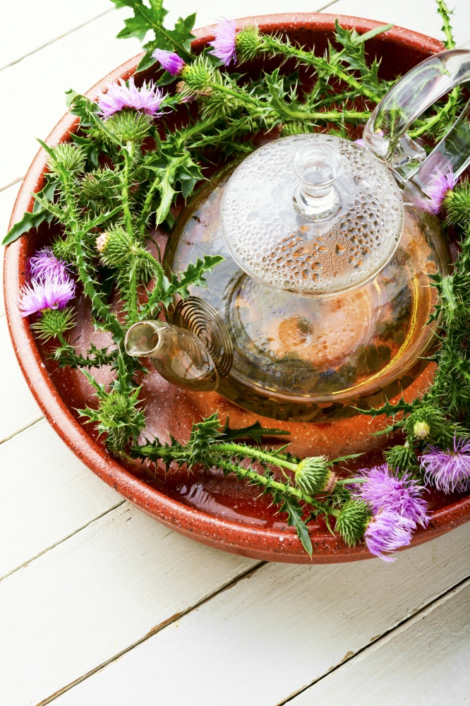 Teapot with medicinal wild herbal tea.Milk thistle or Silybum marianum in in herbal medicine. Thistle in herbal medicine