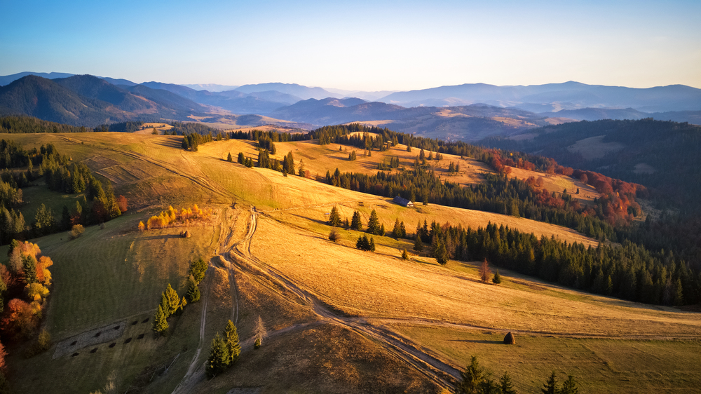 Aerial panorama view of autumn mountain range. Sunlight on the hills. Colorful woodland. Pylipets, Carpathian mountains in Ukraine.