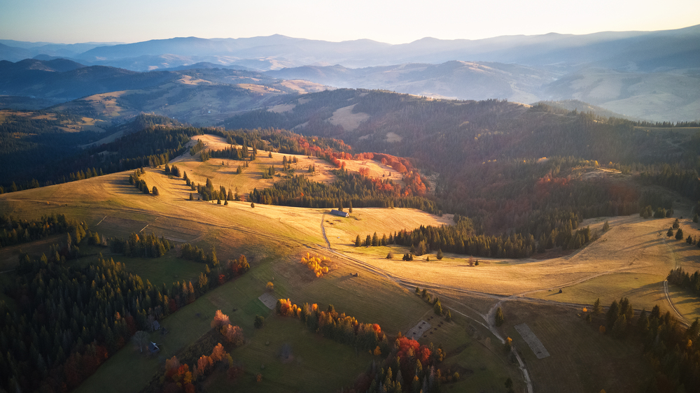 Aerial panoramic view of autumn mountain range. Sunlight on the hills. Autumn sunset in mountains. Colorful fall woodland. Pylipets, Carpathian mountains in Ukraine.