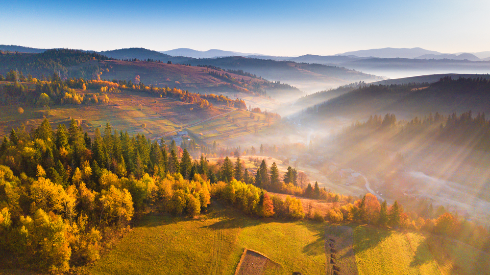 Beautiful morning light through mist and forest. Mountain sunrise autumn landscape with meadow and colorful forest. Carpathians, Ukraine, Europe