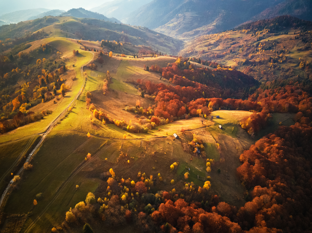 Beautiful mountain autumn landscape with meadow and colorful forest. Red, Yellow, Orange trees on hillsides. National Natural Park Synevyr, Carpathians, Ukraine, Europe.