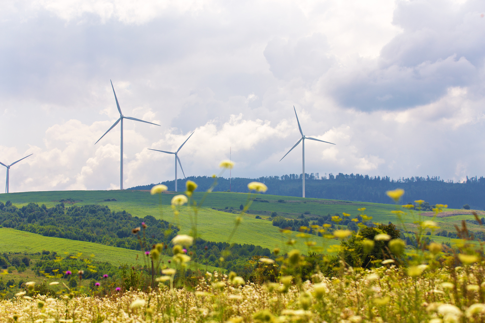 Wind turbines on beautiful sunny summer autumn mountain landsape. Green ecological power energy generation. Wind farm eco field with green grass and flowers. Beskidy range.