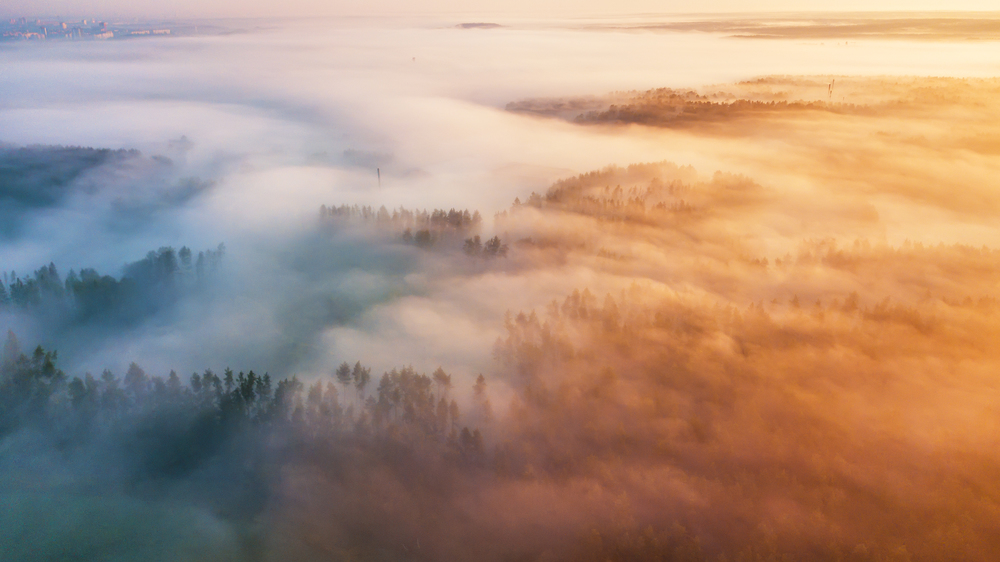 Morning fog over woodland. Summer nature landscape aerial panorama. Nature sunlight scene at foggy sunrise. Sea of fog. Belarus, Europe
