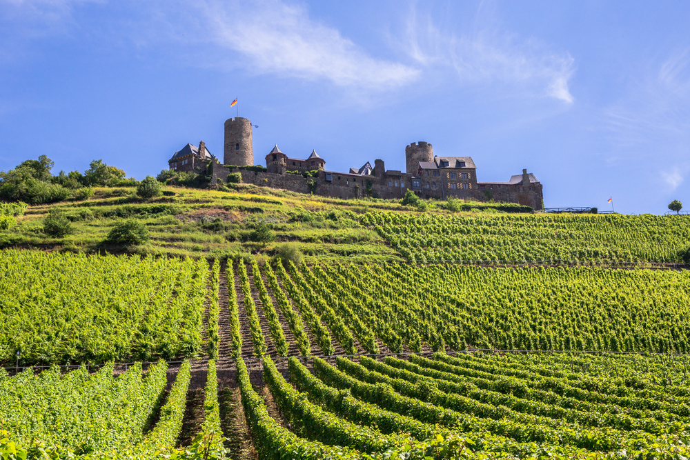 Burg Thurant at the Mosel vineyards