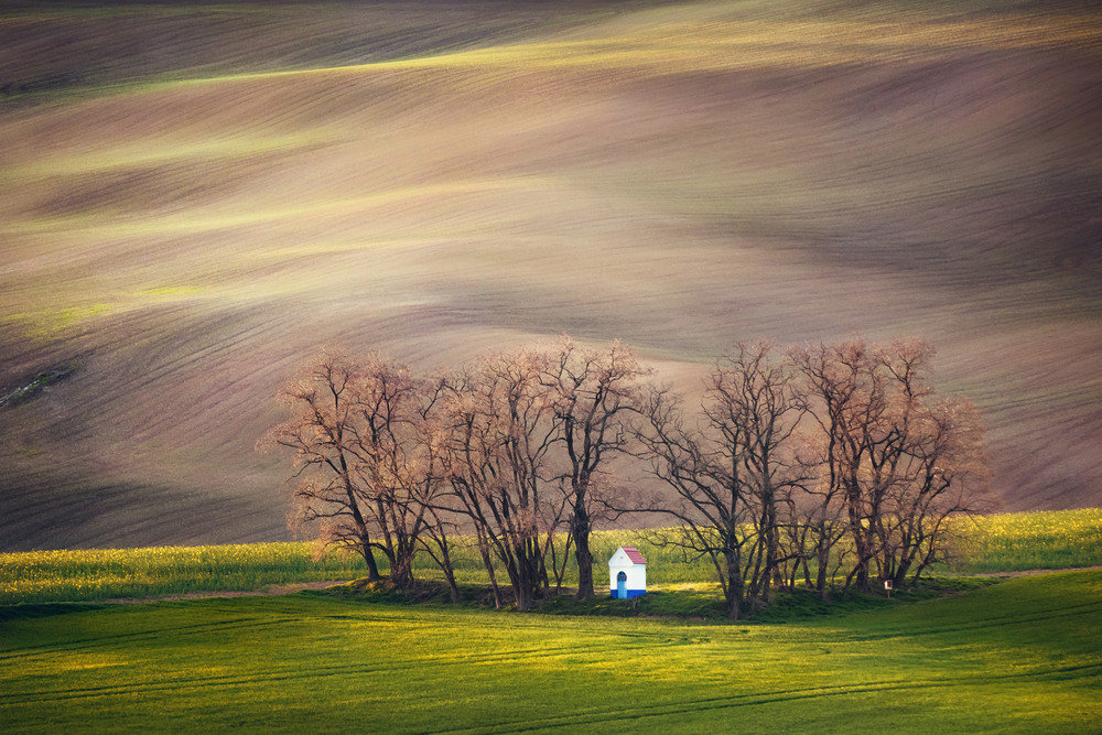 Lines and waves with trees and chapel in the spring in area known as Moravian Tuscany, South Moravia, Czech Republic. Lines and waves with trees and chapel in the spring, South Moravia, Czech Republic