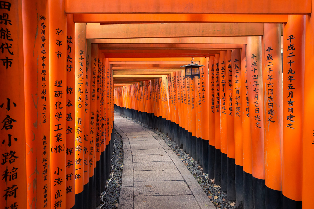 vermillion Torii path at Fushimi Inari Taisha Shrine in Kyoto, Japan. Torii path at Fushimi Inari Taisha Shrine in Kyoto, Japan