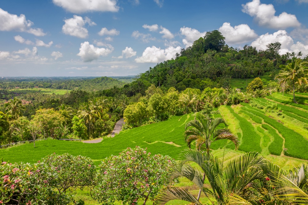 Green rice terraces Jatiluwih close to Ubud, Bali, Indonesia. Green rice fields Jatiluwih on Bali island, Indonesia
