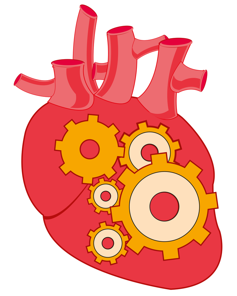 Cartoon heart person with mechanism on white background is insulated. Vector illustration heart with mechanism inwardly.Vector illustration