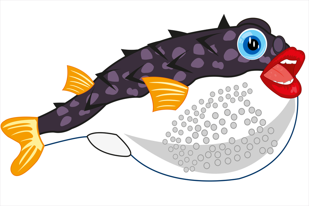 Vector illustration of the cartoon of exotic fish fugue. Fish fugue on white background is insulated