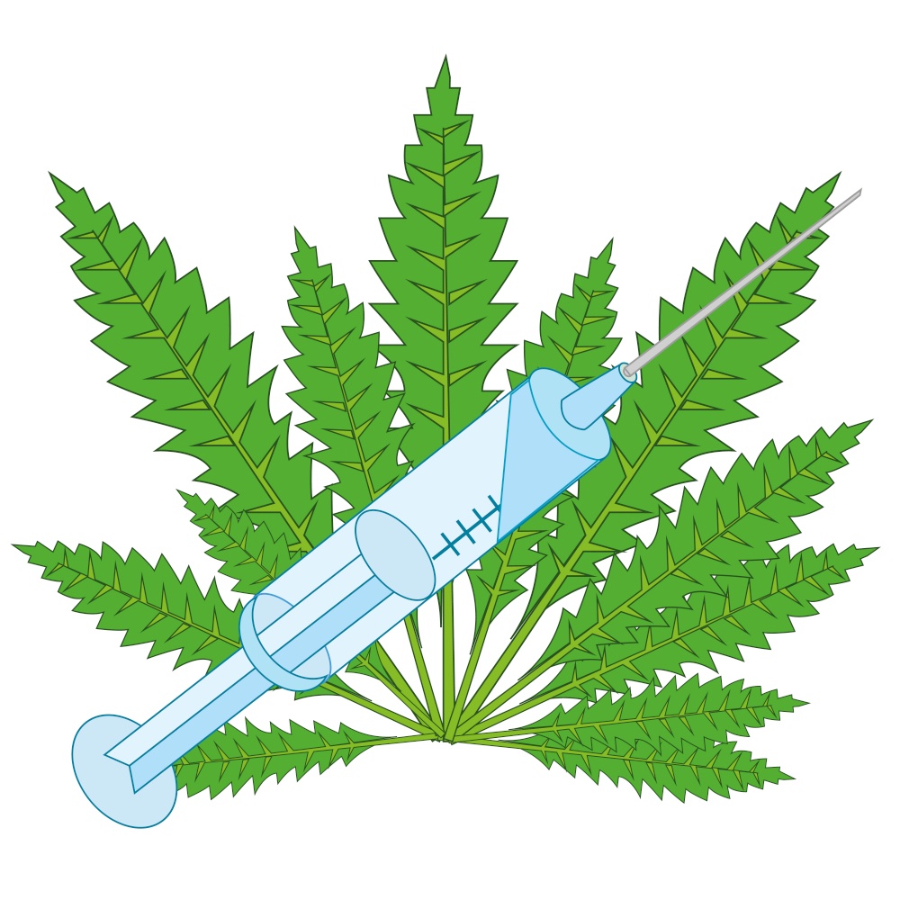 Sheet of the hemp and syringe on white background is insulated. Vector illustration of the plant hemp drug and syringe