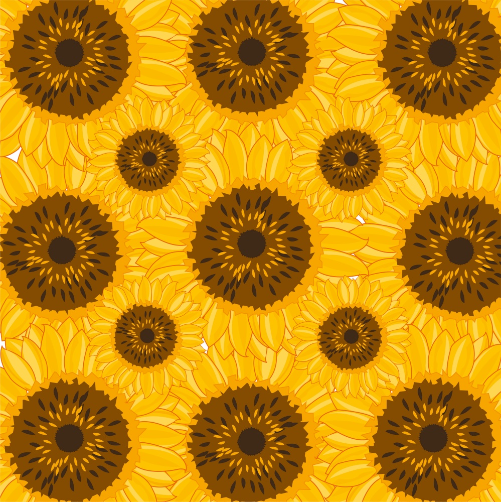 Vector illustration of the decorative pattern from flower of the sunflower. Decorative pattern from flower of the sunflower