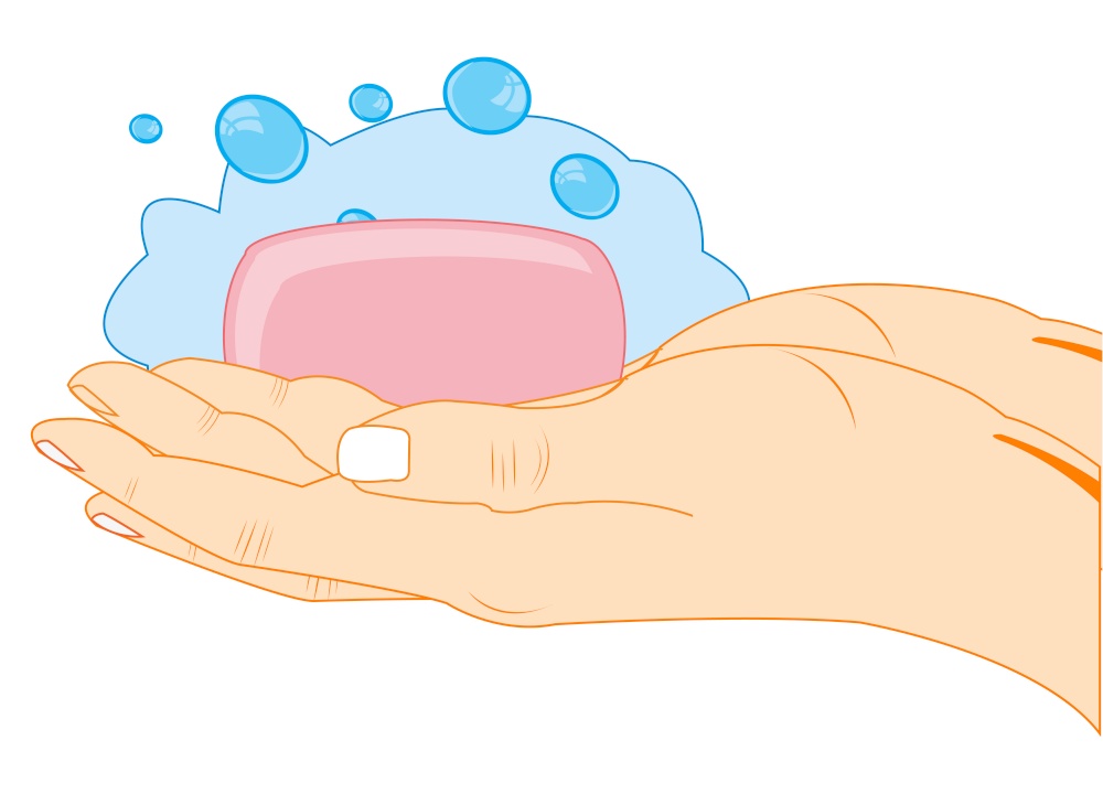 Vector illustration of the hands of the person washing hands with soap. Washing the hands with soap on white background is insulated