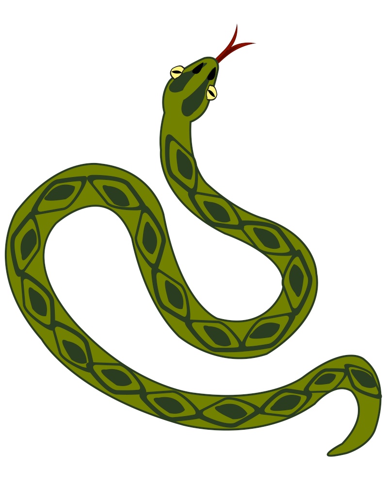 Reptile snake type overhand on white background is insulated. Vector illustration to reptiles snake type overhand