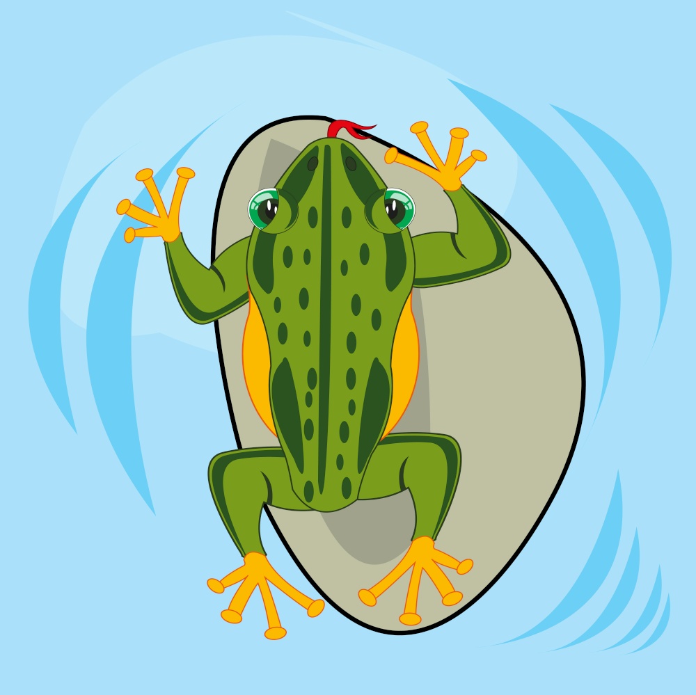 Vector illustration grovelling animal frog in water type overhand. Reptile amphibious frog in water type overhand
