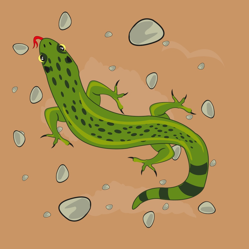 Vector illustration grovelling animal to reptiles lizard in desert. Reptile animal lizard in desert type overhand