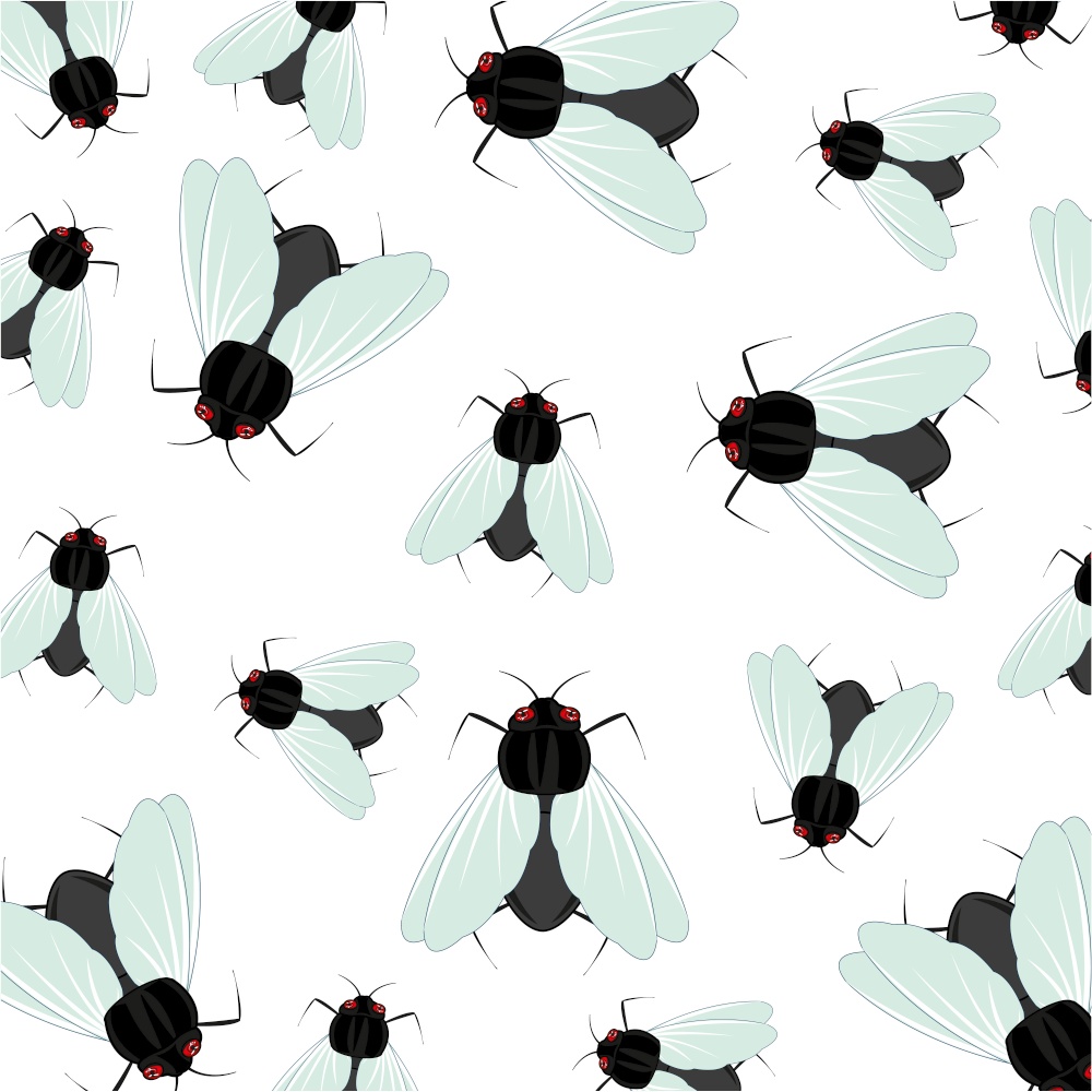 Insect of the fly pattern on white background is insulated. Vector illustration of the decorative pattern from insect fly