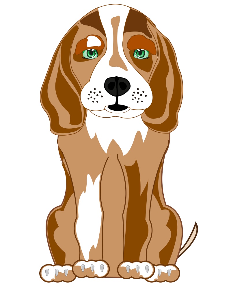 Dog of the sort beagle on white background is insulated. Sitting dog of the sort beagle cartoon