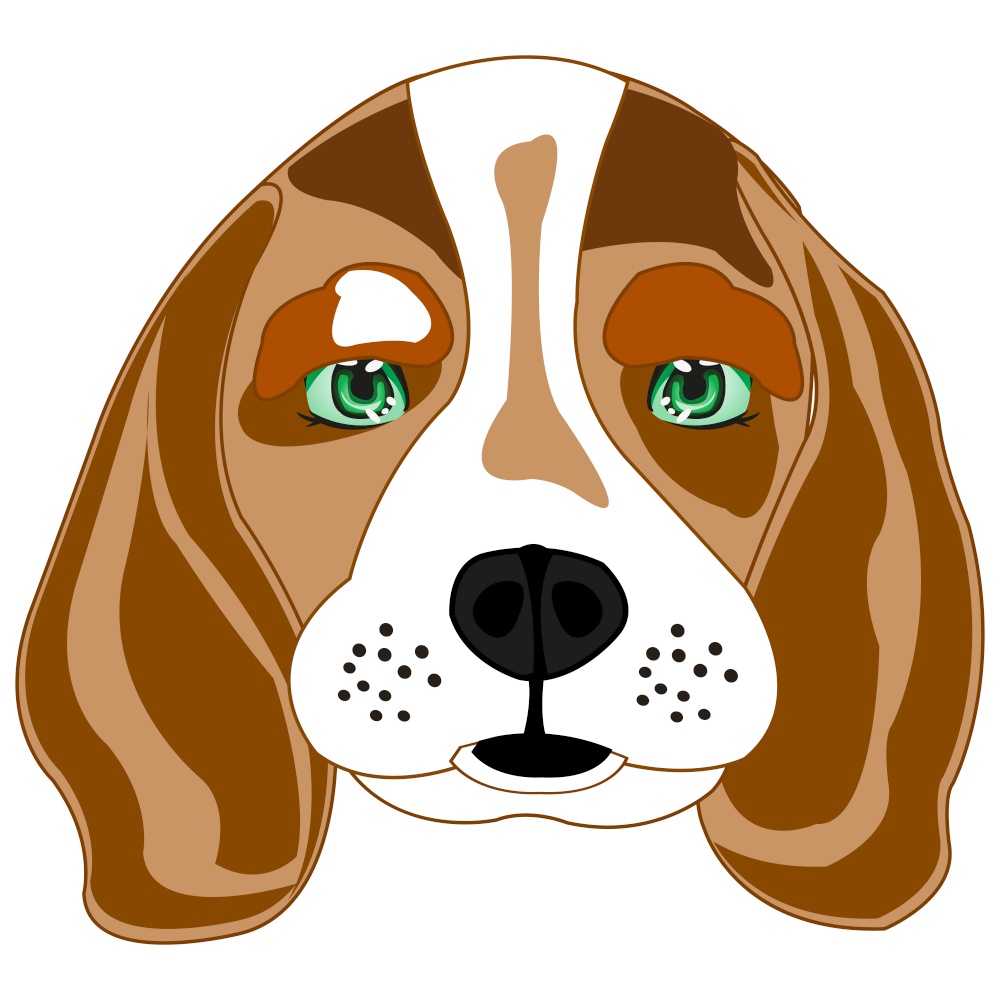 Vector illustration of the portrait of the dog of the sort beagle. Dog beagle on white background is insulated