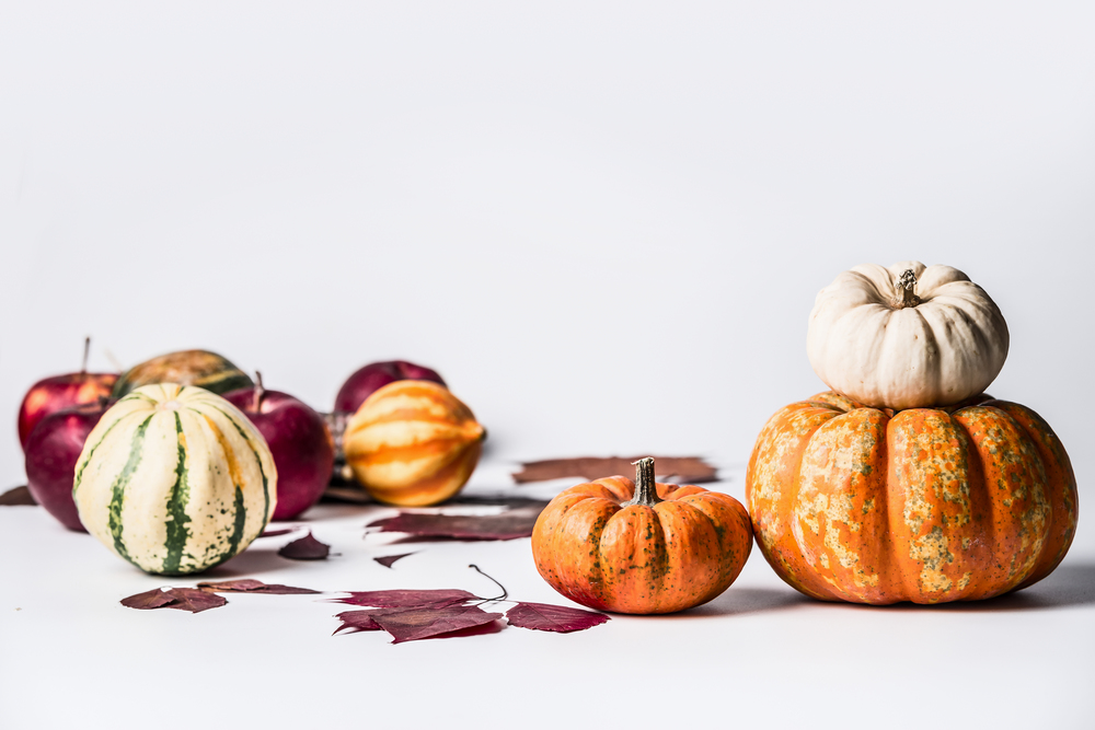 Various pumpkins on white background with fall leaves, front view. Autumn vegetables , Thanksgiving food concept