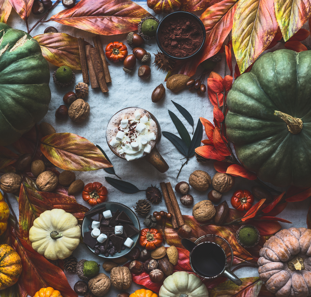 Autumn still life with various colorful pumpkins, fall leaves ,nuts, mug of hot chocolate , marshmallow , cinnamon stick, acorns and chestnuts top view , flat lay,