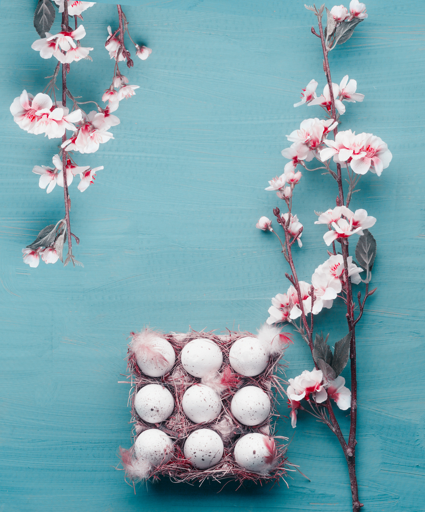 Beautiful Easter background. Spring blossom branches frame and egg-crate with Easter eggs at blue, top view with copy space for your design
