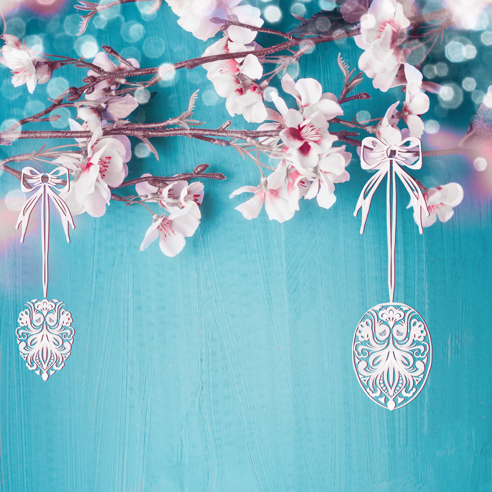 Painted hanging Easter eggs on spring cherry blossom branches at turquoise blue background. Easter greeting card