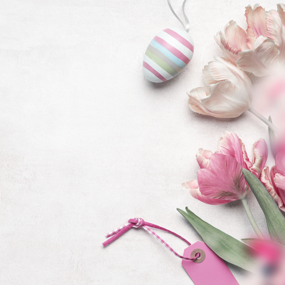 Easter background Easter egg , tulips flowers and pink tag on white background, top view, flat lay. Copy space for your design