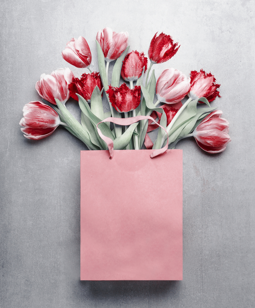 Red tulips in paper shopping bag at gray background. Festive spring flowers bunch. Floral gift composing. Springtime holiday and greeting concept. Copy space for your design