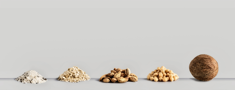 Vegan food concept. Best vegan milk ingredients: rice,  oatmeal, almond, soy and coconut at gray background, front view. Copy space for your design, banner. Healthy eating, clean food concept