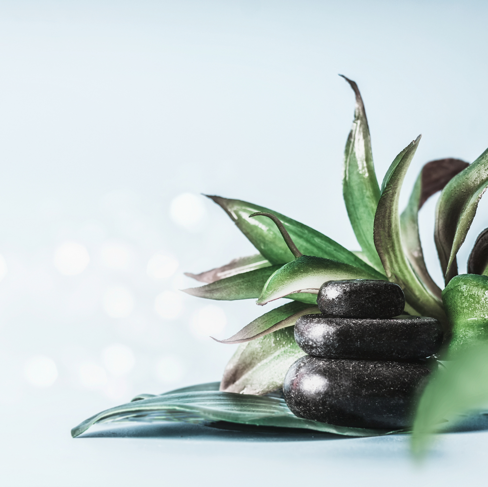 Stack of black hot stones with green tropical leaves at light blue background with bokeh. Massage treatment . Spa and wellness equipment. Beauty, healthy lifestyle and body care concept. Copy space
