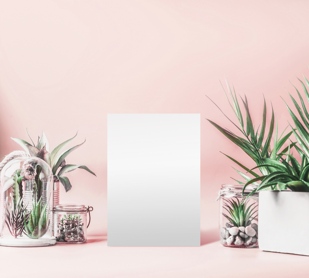 Blank white sheet mock up and green house plants in pots, glass terrarium and jars on table at pastel pink background. Various succulent and cactus plants in glass bowls. Modern indoor plants concept