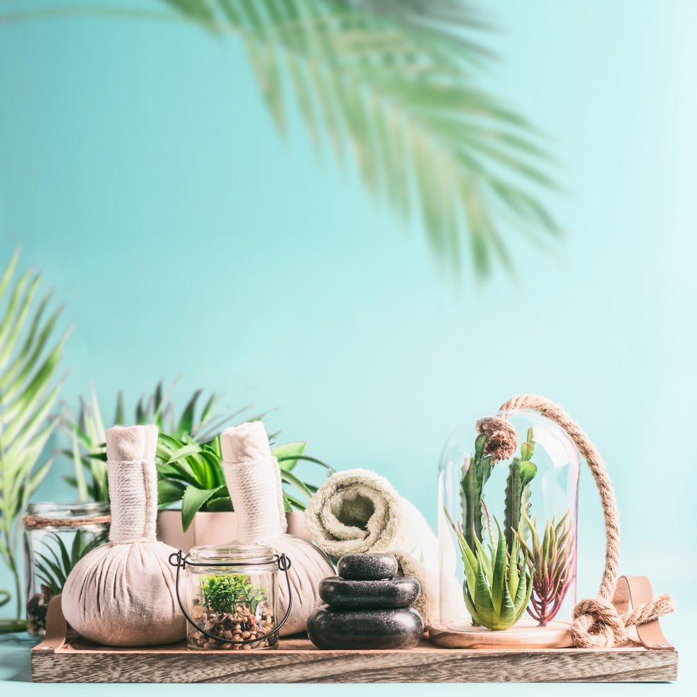 Modern spa and wellness background. Massage equipment: rolled towels, compress balls, stack of hot stones on wooden table with various succulent plants in glass at light blue with hanging palm leaves