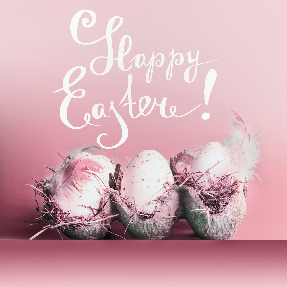 Happy Easter greeting card with eggs in grate with feathers  at pastel pink background and lettering