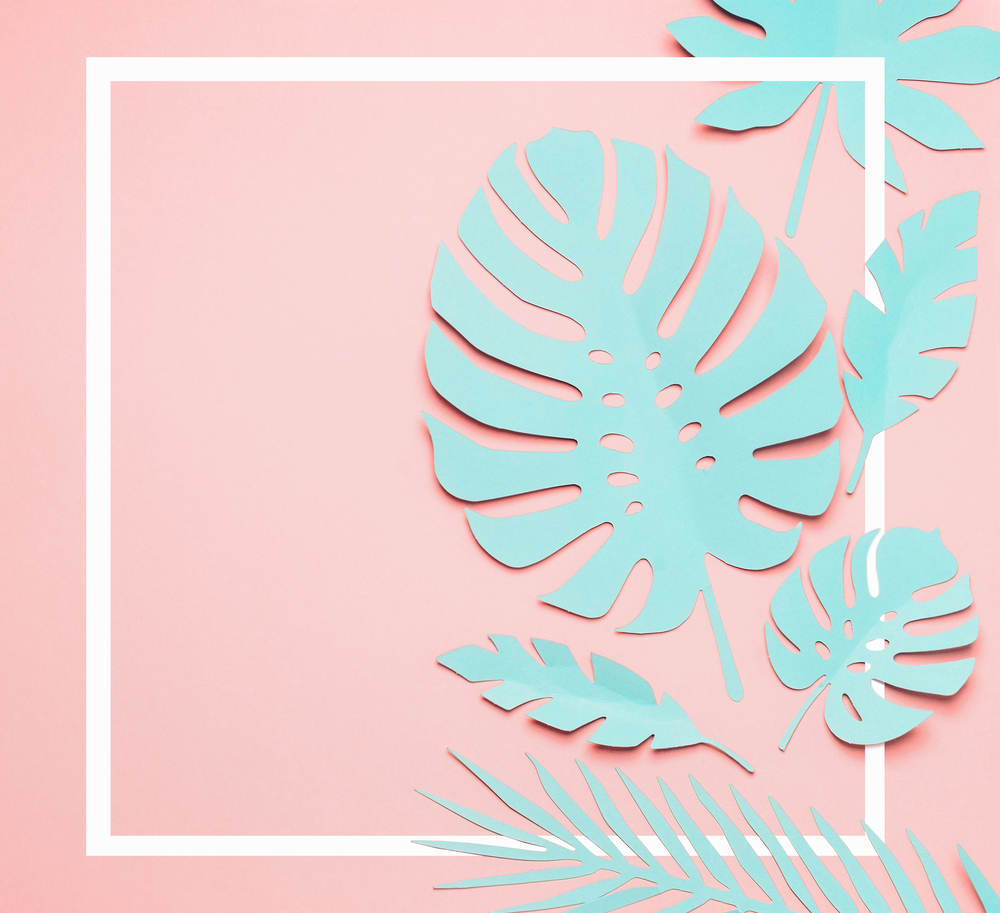 Turquoise tropical leaves layout. White frame at paper tropical leaves on pink background. Creative composing in pastel color with copy space for your design