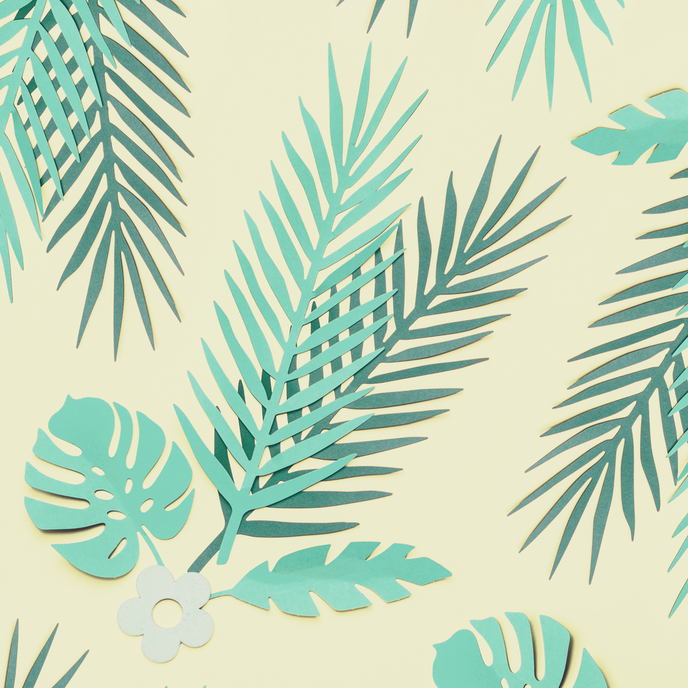 Turquoise green tropical leaves on pastel yellow background, top view, flat lay. Creative botanical layout