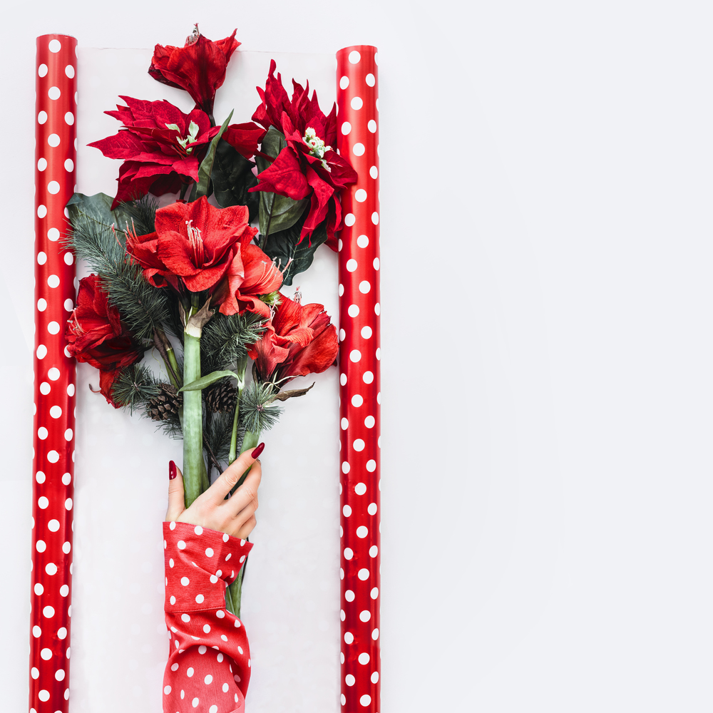 Christmas flowers arrangement. Female hand in red blouse holding winter flowers bunch with Amaryllis, Poinsettia and fir branches in wrapping paper on white desktop . Top view. Copy space