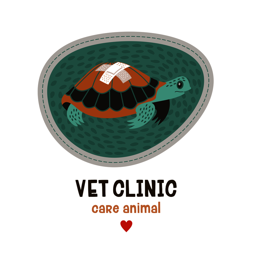 Veterinary care. Sticker, vector illustration for veterinary clinic. Home Turtle with a band-aid on the shell.. Veterinary care. Sticker, vector illustration for veterinary clinic.