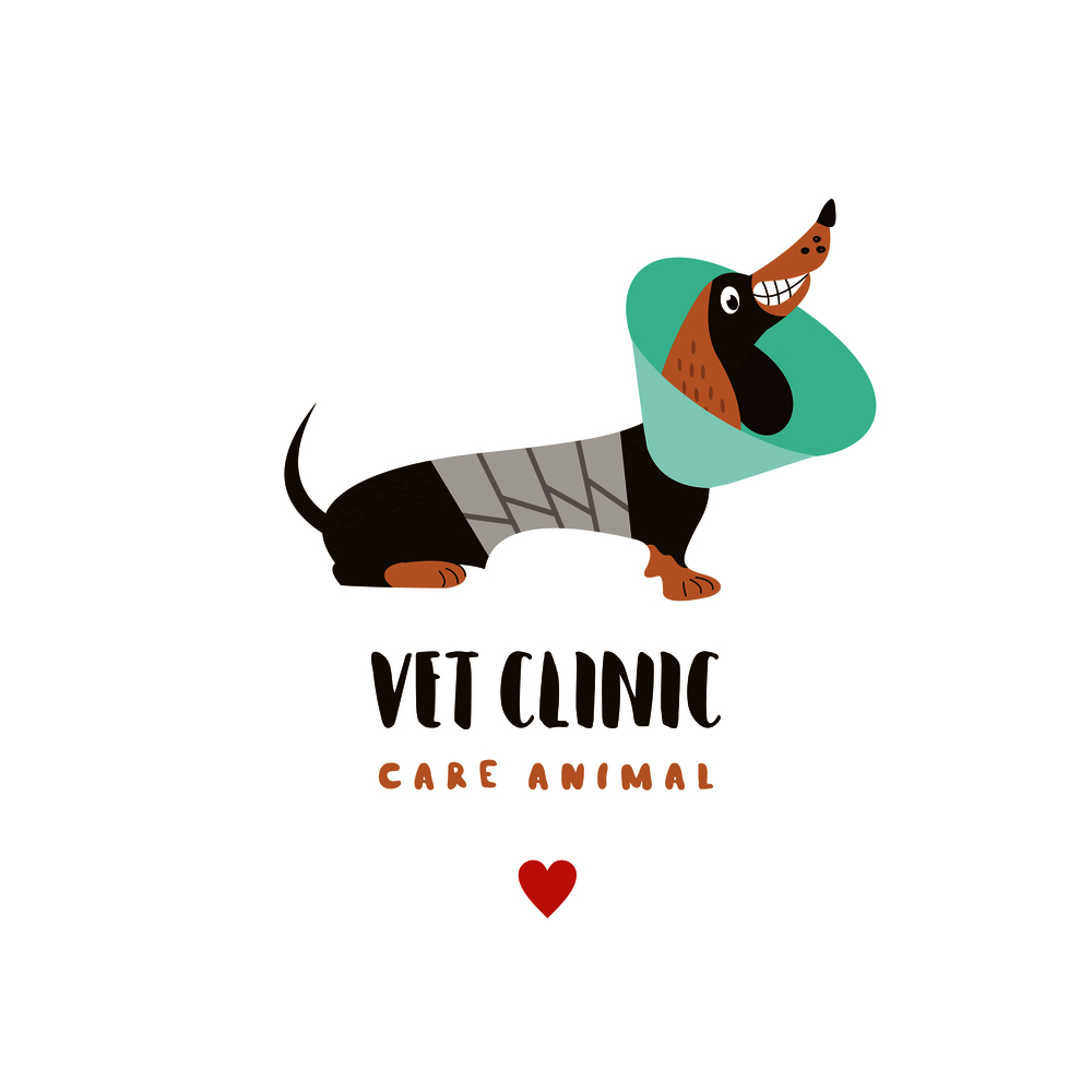 Veterinary care. Care of animals. Cute dog Dachshund with a bandage in a veterinary collar. The emblem of the clinic. Vector illustration of a sticker.. Veterinary care. Care of animals. The emblem of the clinic. Vector illustration of a sticker.
