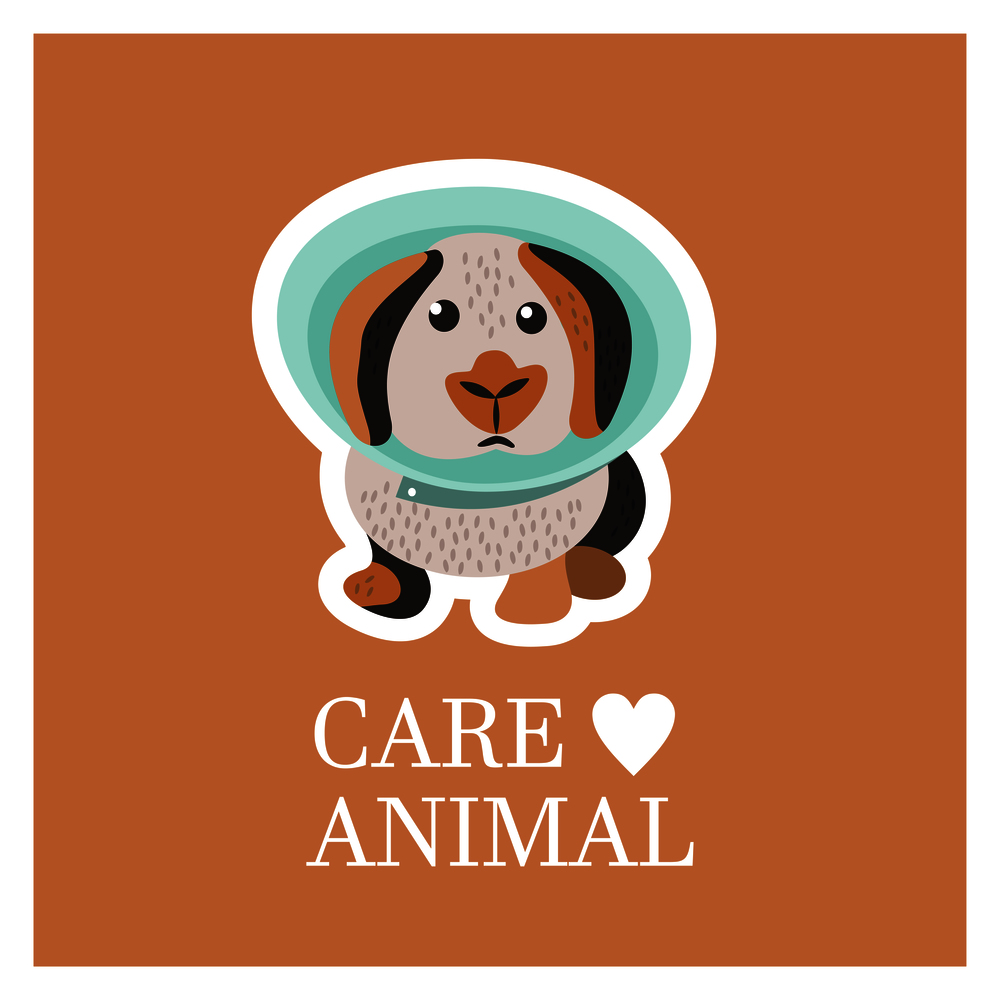 Veterinary care. Care of animals. Sick rabbit in a veterinary collar. The emblem of the clinic. Vector illustration of a sticker.. Veterinary care. Care of animals. The emblem of the clinic. Vector illustration of a sticker.