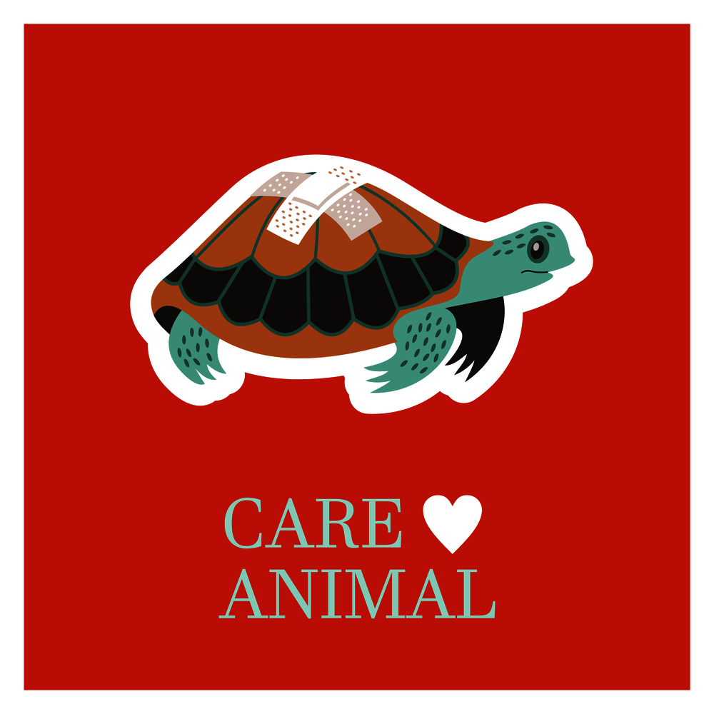 Veterinary care. Care of animals. Sick turtle with a band-aid. The emblem of the clinic. Vector illustration of a sticker.. Veterinary care. Care of animals. The emblem of the clinic. Vector illustration of a sticker.