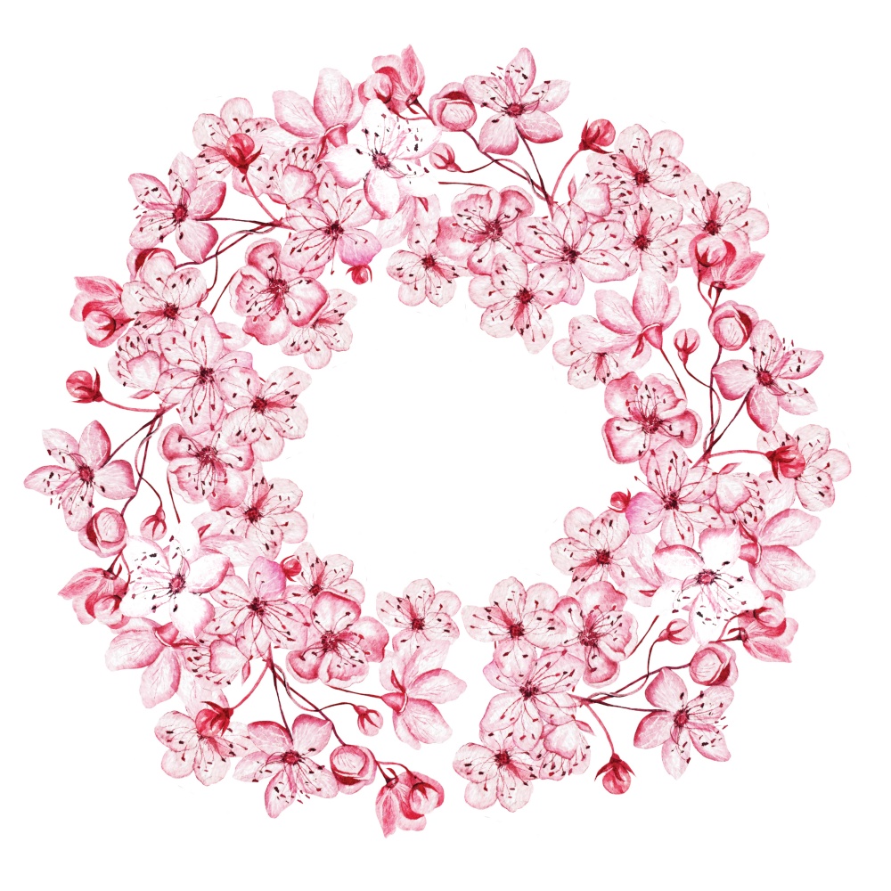 Wreath with the cherry blossoms.Watercolor illustration. Wreath with the cherry blossoms.