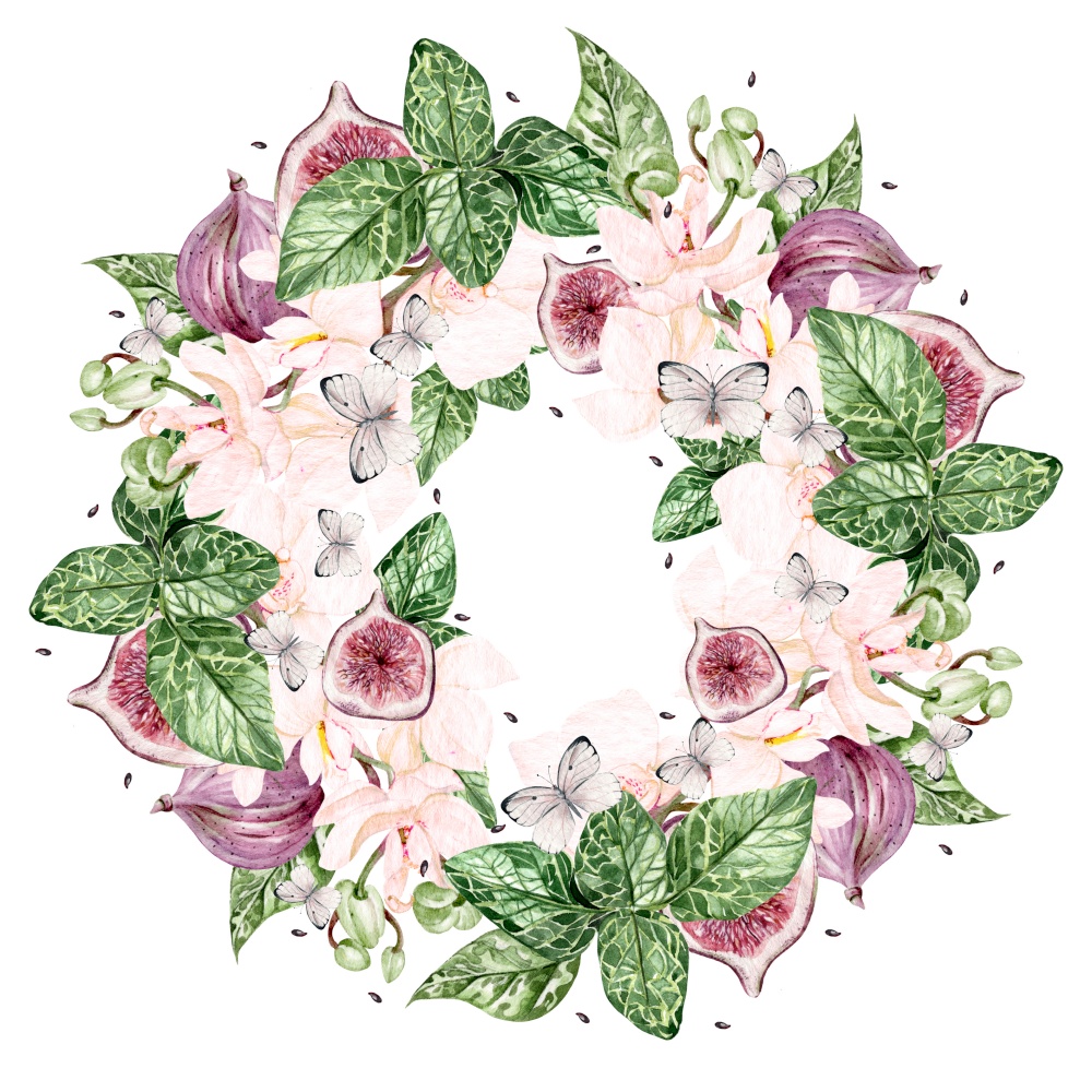 Beautiful watercolor bright wreath with orchid flowers and  fig fruits, butterflies. Illustration. Beautiful watercolor bright wreath with orchid flowers and  fig fruits, butterflies.