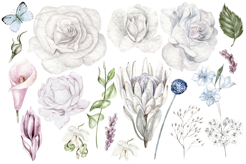 Set of watercolor green leaves, herbs, branches, wildflowers.  Roses, Peony, Callla, Protea, orchid. Botanical clipart. Floral design elements. Illustration. Set of watercolor green leaves, herbs, branches, wildflowers.  Roses, Peony, Callla, Protea, orchid. Botanical clipart. Floral design elements.