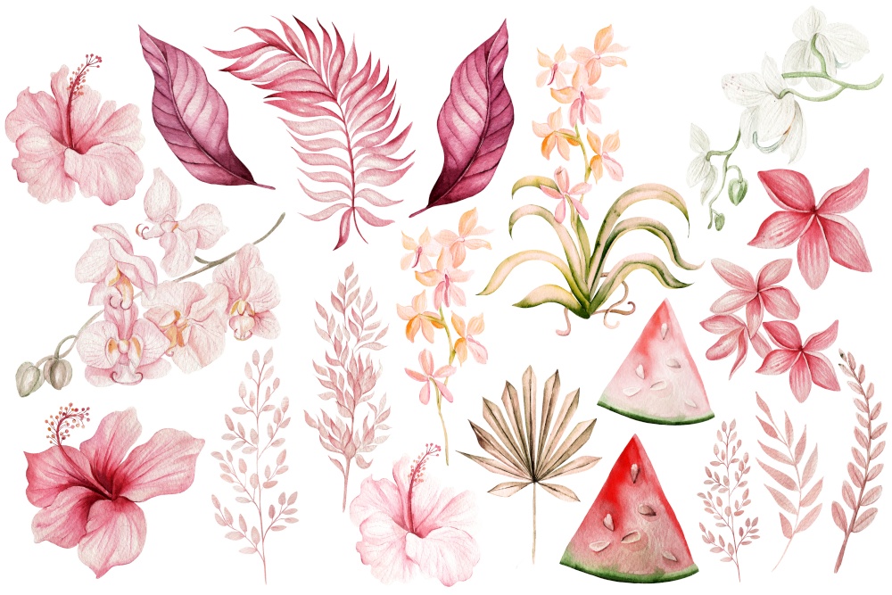Watercolor wedding pink tropical set with Exotic flowers hibicsus, orchid, watermalon and leaves. Illustration . Watercolor wedding pink tropical set with Exotic flowers hibicsus, orchid, watermalon and leaves.