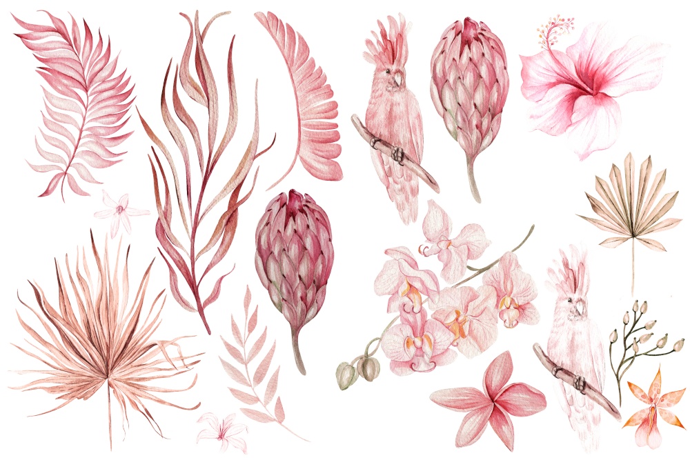Watercolor wedding pink tropical set with Exotic flowers hibicsus, orchid, protea and  palm leaves. Illustration . Watercolor wedding pink tropical set with Exotic flowers hibicsus, orchid, protea and  palm leaves.